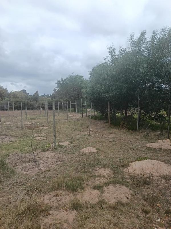 2 Bedroom Property for Sale in Albertinia Western Cape